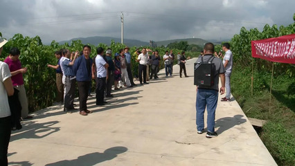 科技赋能 产业振兴——2018年全省现代农业蚕桑产业技术体系现场观摩会在鹤庆县圆满举行