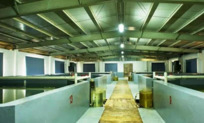 工业重镇向“绿”转型 顺德三年行动计划，以软件开发赋能现代农业高地建设